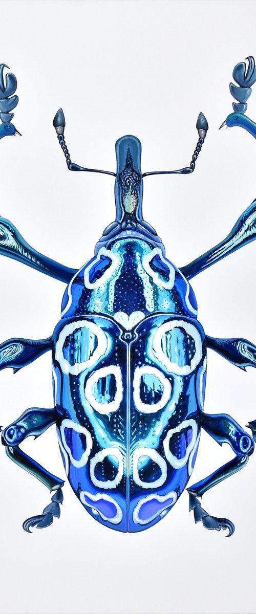 Jewel Beetle #1 by Alex Nizovsky