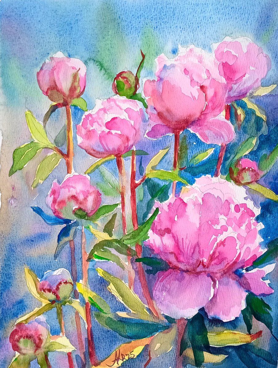 Peonies flowers by Ann Krasikova