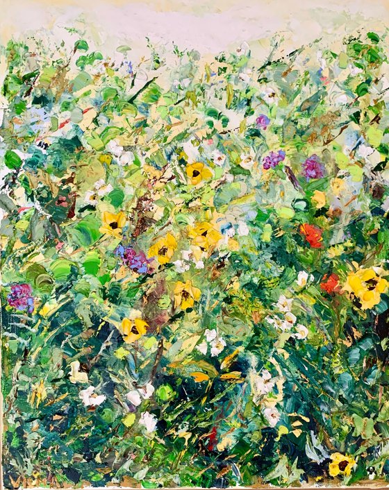 Summer meadow