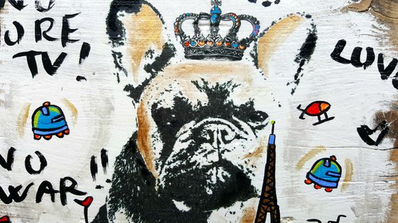 New French Bulldog City