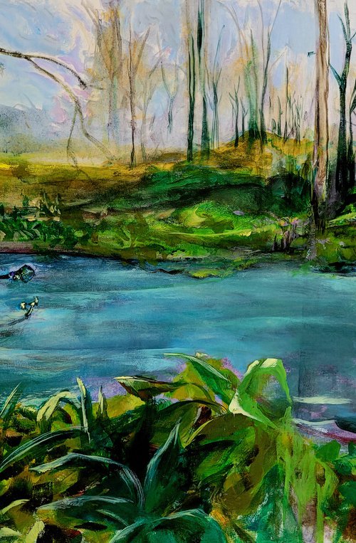 Pond 5 by Arden Rose