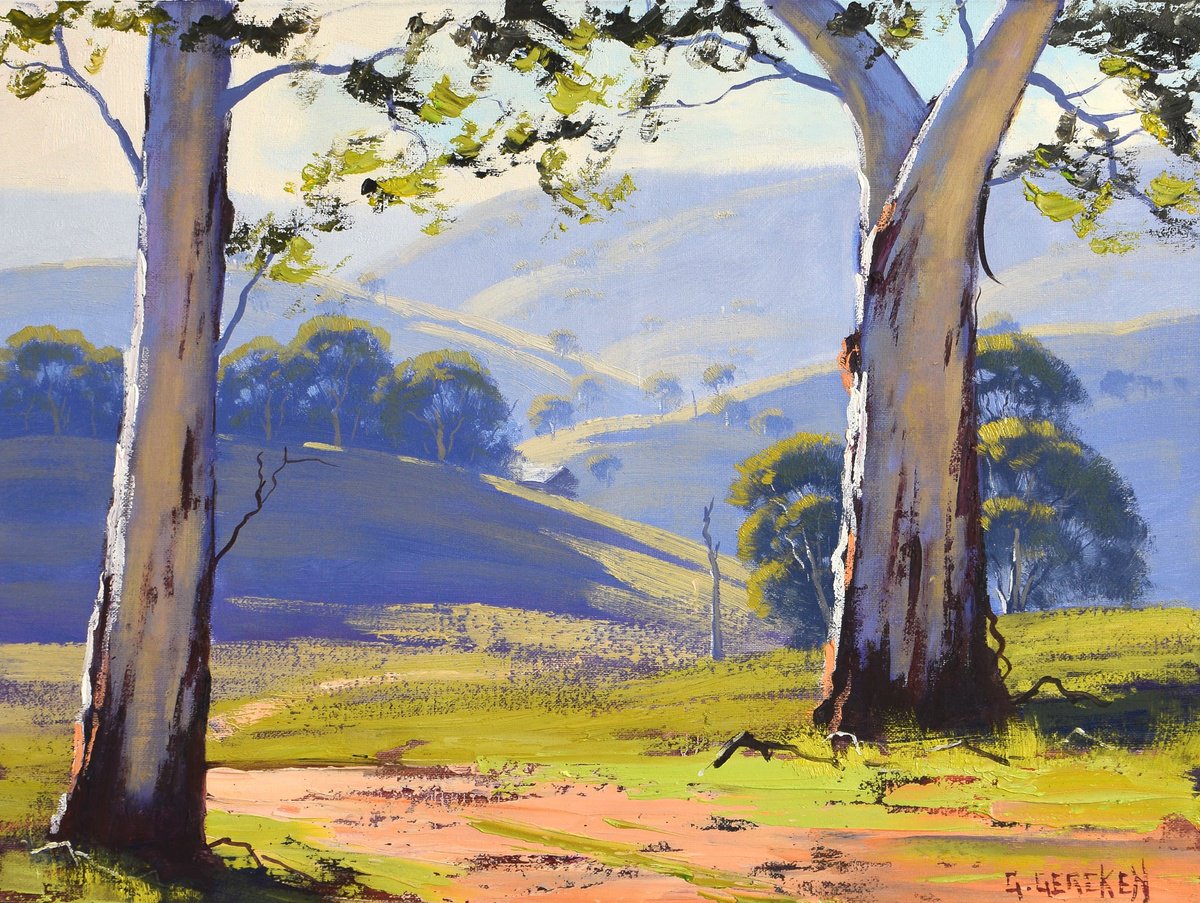 Valley landscape Gum trees by Graham Gercken