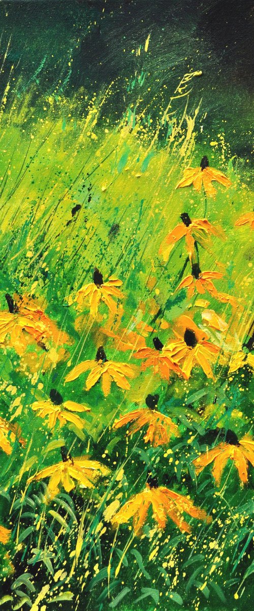 Yellow rudbeckias -6723 by Pol Henry Ledent