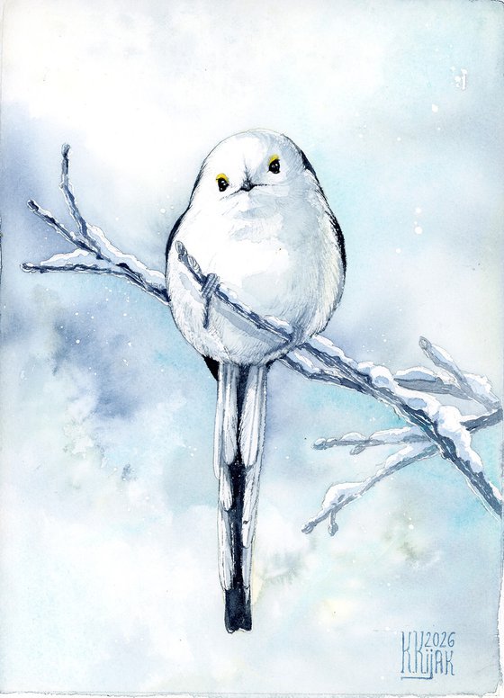 Long-tailed tit