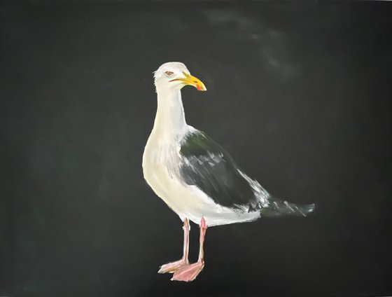 Linda the Seagull