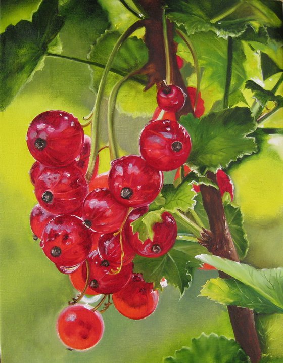 Redcurrants in Garden Light