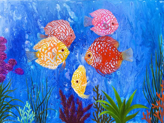 Underwater Life