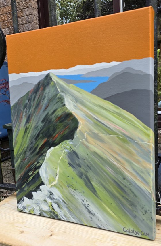 Catstye Cam