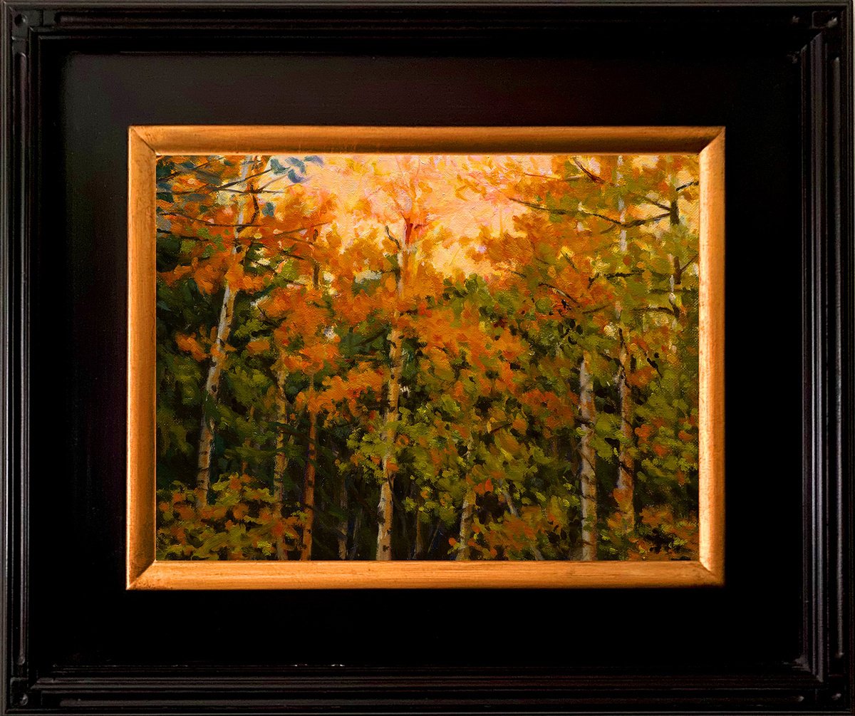 Autumn Aspens - Oil Painting By Daniel Brian Fishback, 18 X 15, Artwork For Sale On Artfinder