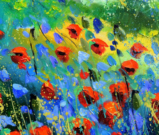 red poppies