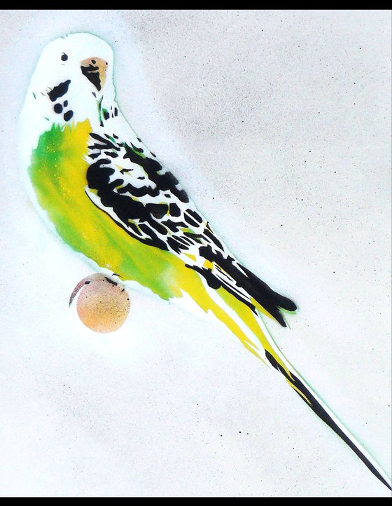 Grandma's other budgie (on The Daily Telegraph) + free poem.