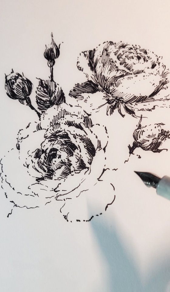Novalis roses