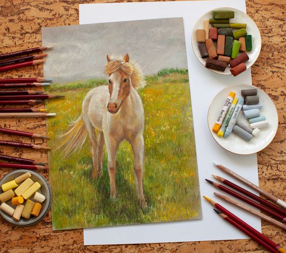 Soft pastel original drawing of lovely horse