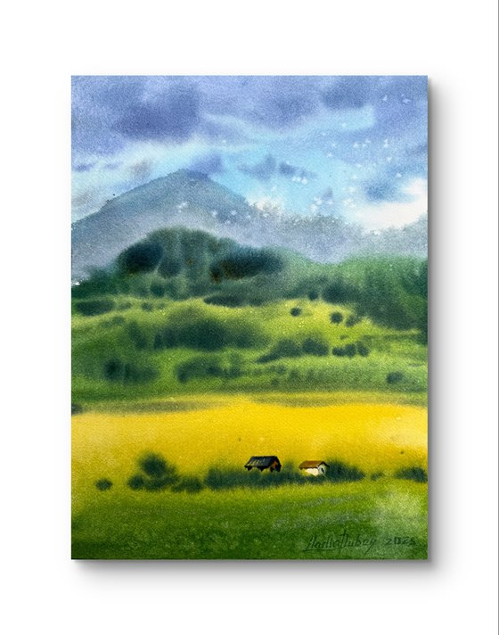 Ukrainian fields