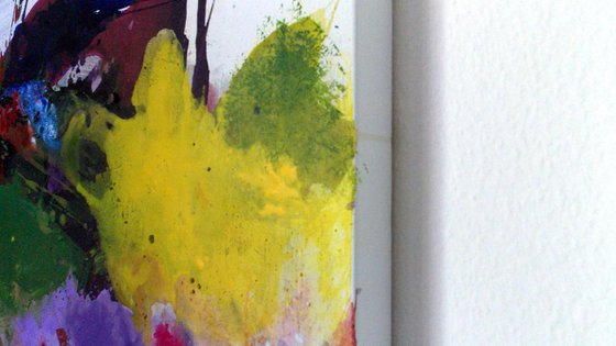 THE FREENZY OF COLOURS