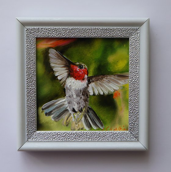 Hummingbird Miniature Art