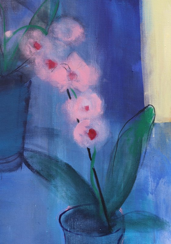 Orchids
