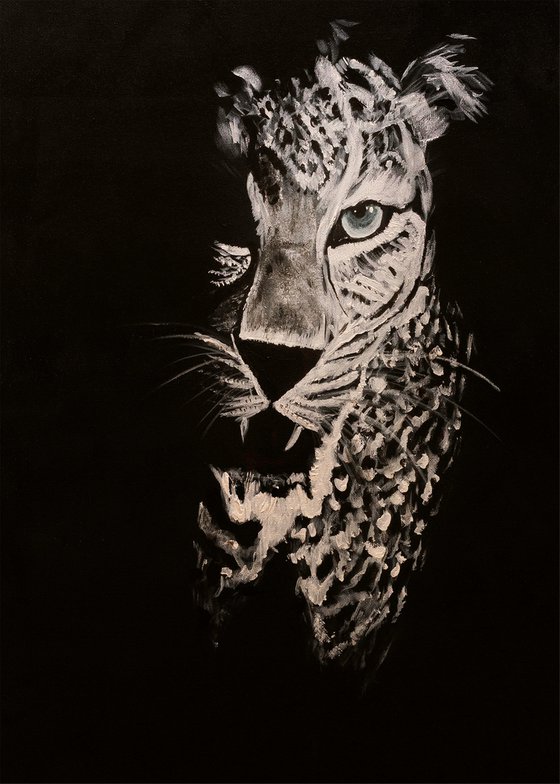 Leopard in the dark