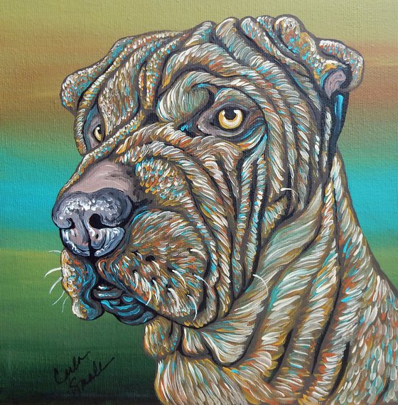 Shar-Pei