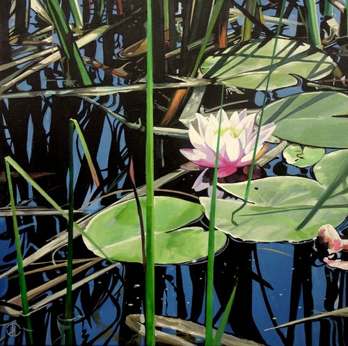 Water Lily Reflections by Joseph Lynch