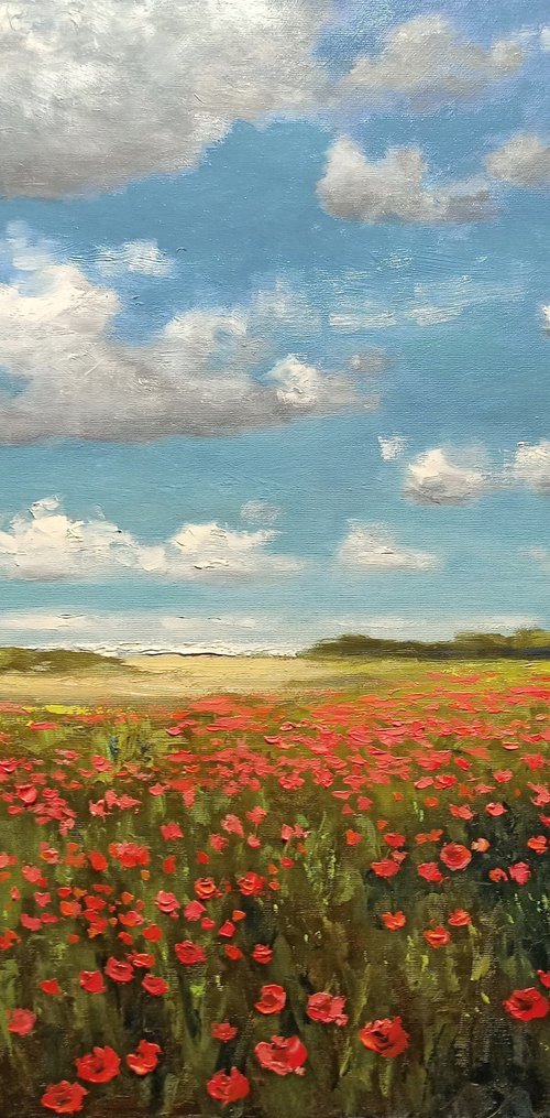 Poppies near the sea by Oleh Rak