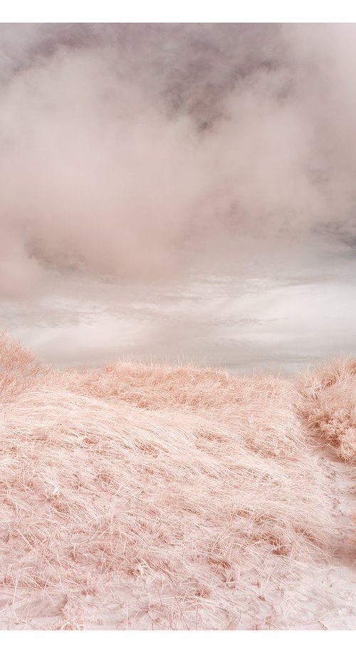 Trail Over Dunes by Brooke T Ryan