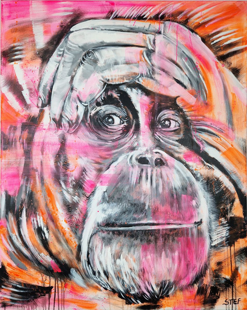 Orangutan #3 By Stefanie Rogge, 31 X 39, Artwork For Sale On Artfinder