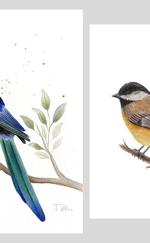 Titmouse and Magpie Set of two by Tina Shyfruk