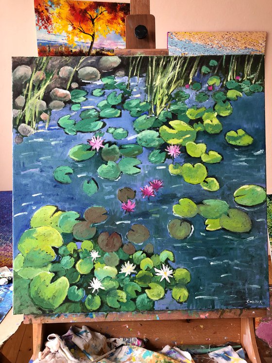 Waterlily 60-60cm