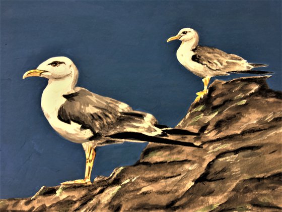 Gulls #1