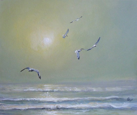 "Seagulls in the haze of morning" SPECIAL PRICE !!!!