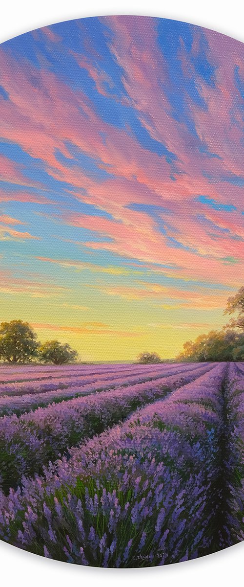 Lavender dreams by Eduard Zhaldak