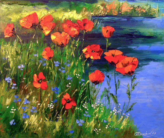 Poppies at the pond