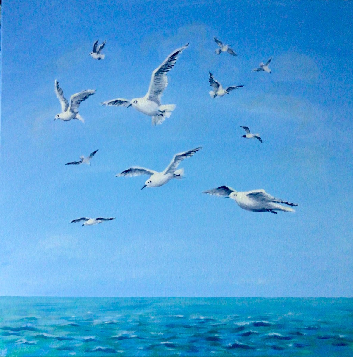 Seagulls Flying Over the Sea by Sandra Francis