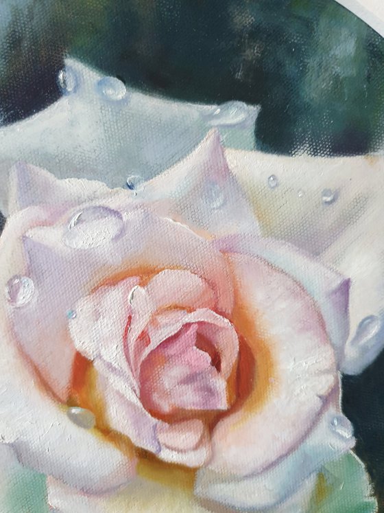 "Dew and rose."  rose flower  liGHt original painting  GIFT (2020)