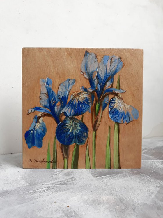 Blue irises
