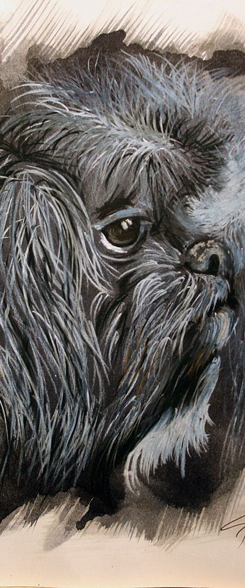 Portrait of a Cute Dog Bobbie by Salana Art Gallery