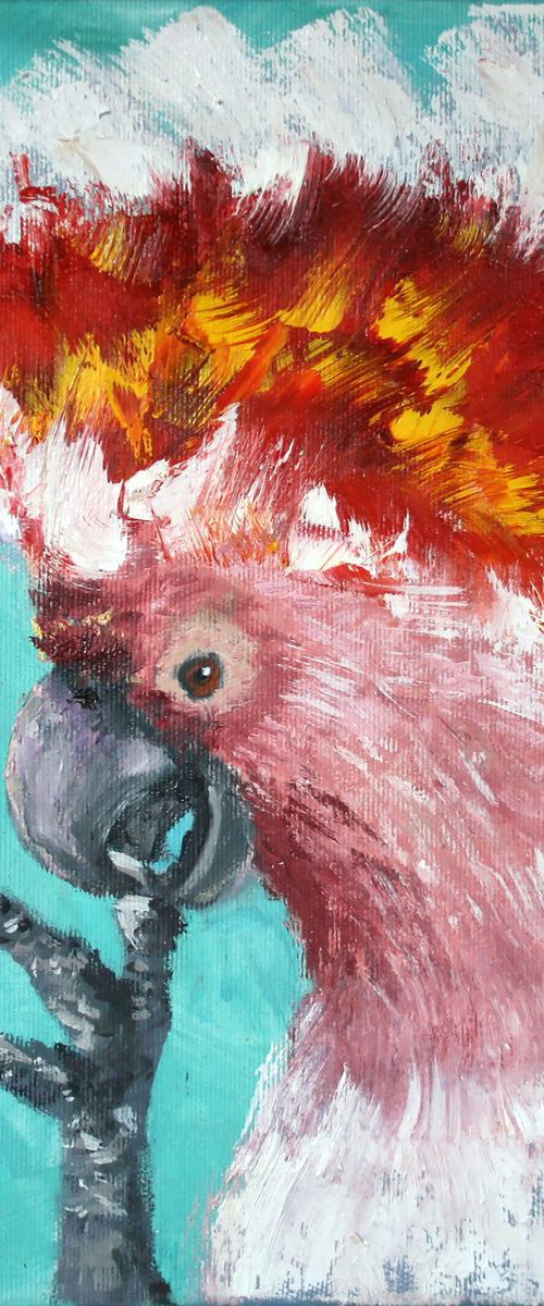 Parrot I  / ORIGINAL PAINTING by Salana Art / Svetlana Samovarova