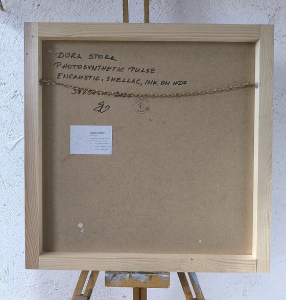 Photosynthetic Pulse