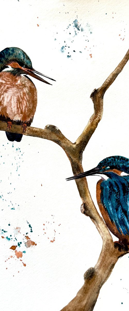 A pair of Kingfisher Birds by Yuliia Sharapova