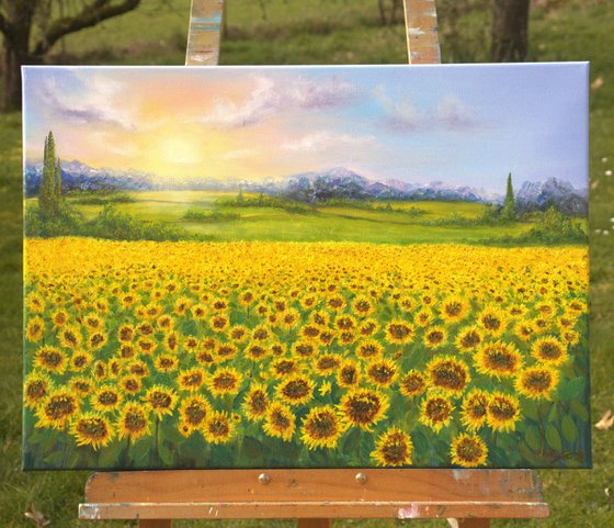 Sunflowers field