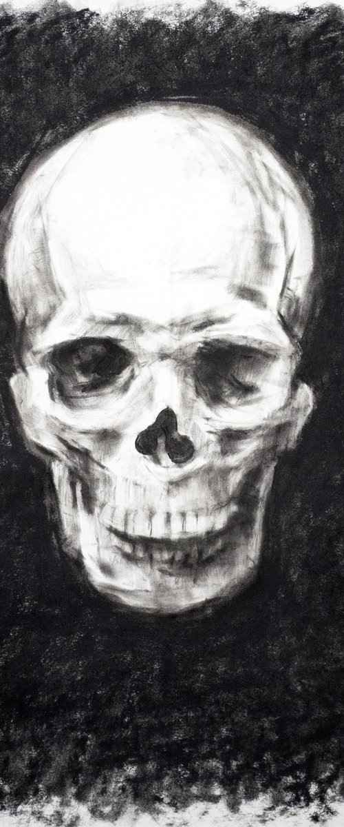 Skull by AH Image Maker