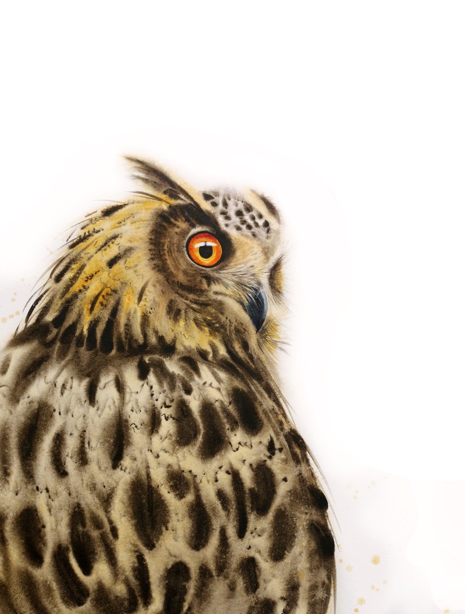 Owl - owl watercolor - owl portrait - great horned owl by Olga Beliaeva Watercolour