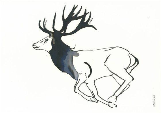 Deer I Animal Drawing