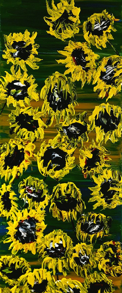 Blooming sunflowers 1 by Daniel Urbaník