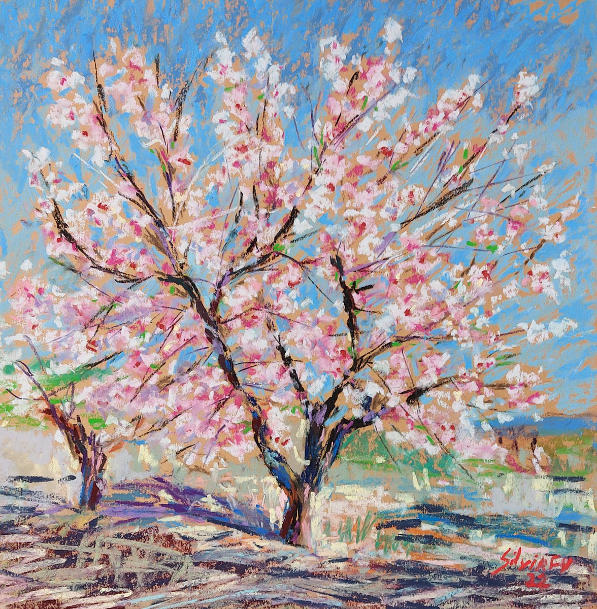 Almond blossom by Silvia Flores Vitiello