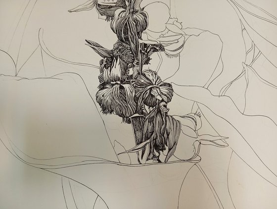 CANNA PLANT