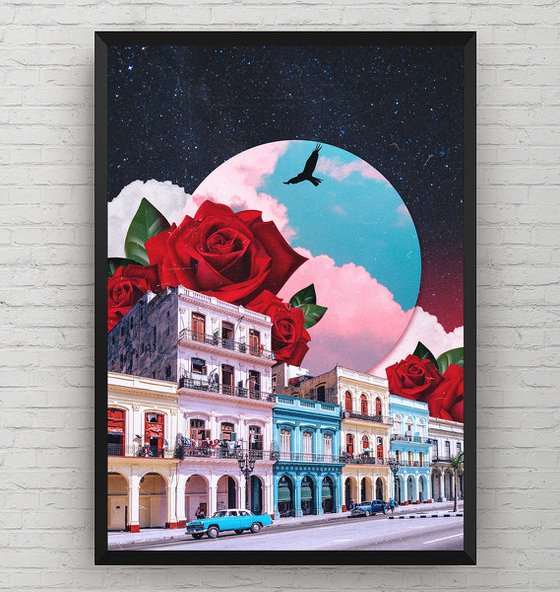 Cuba&Roses