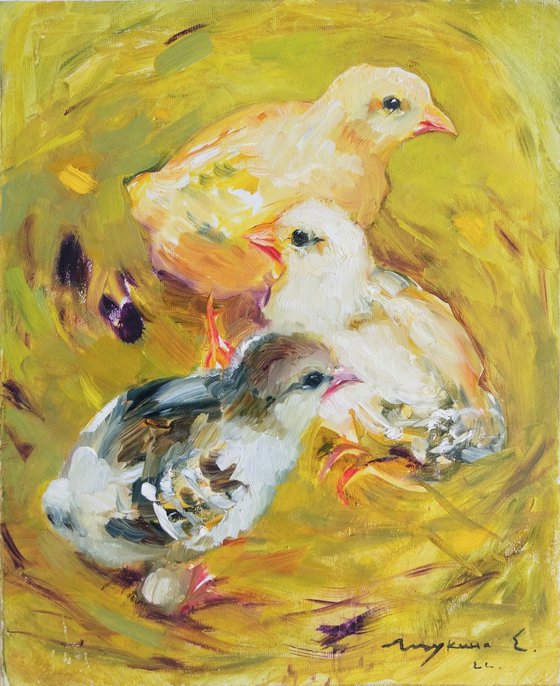 Chickens . Summer morning