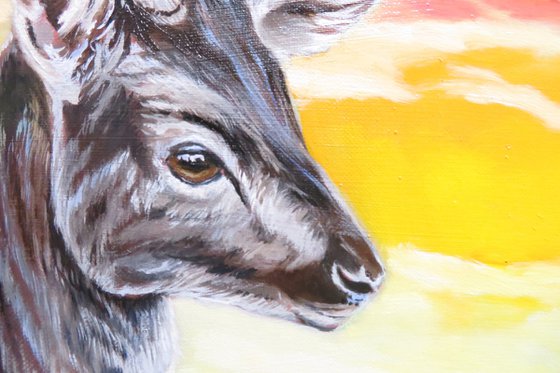 Young fallow deer, Original Oil Painting of Anne Zamo